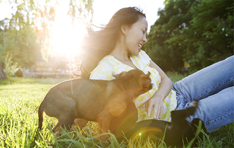 Woman playing with two small dogs outdoors
