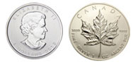 Silver Coin